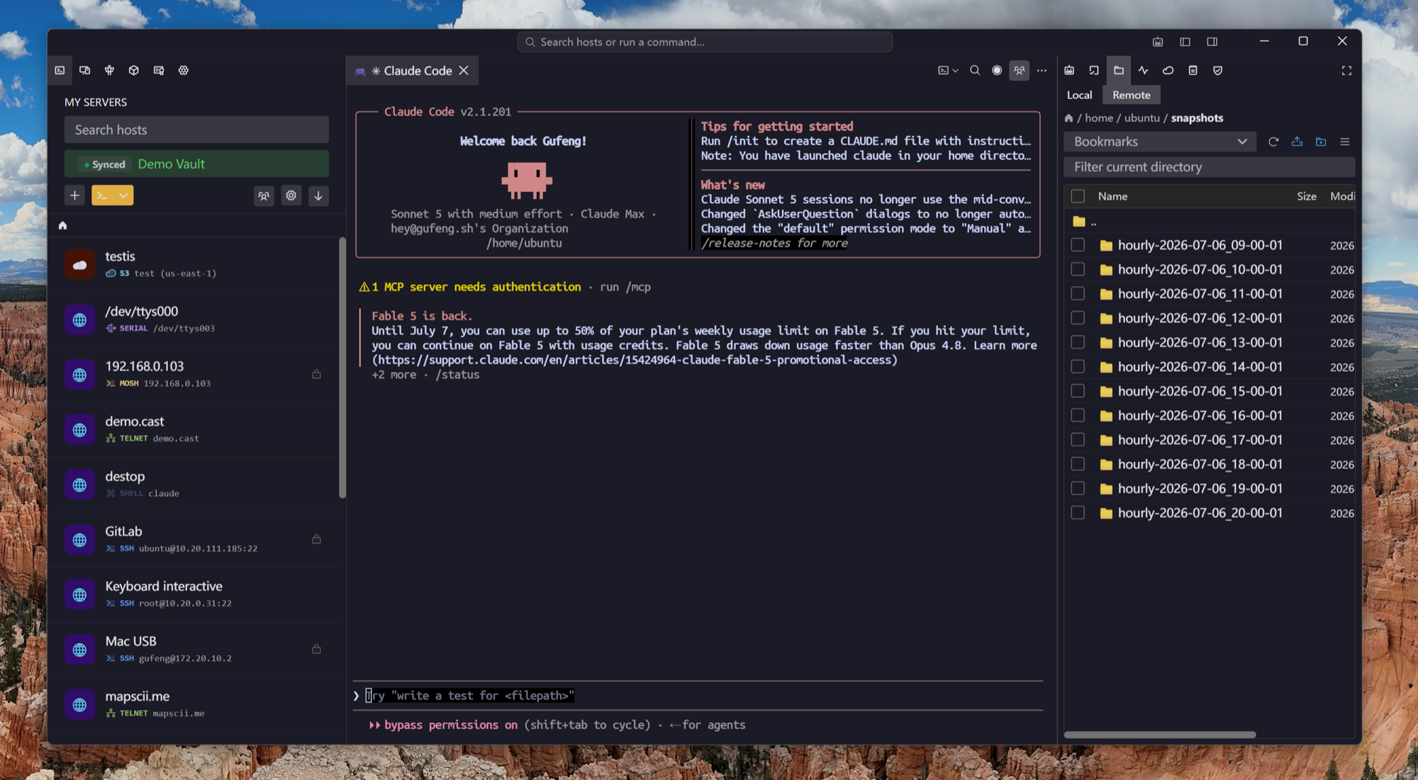The full Tempest workspace — server list, sessions and remote files; the browser edition serves the same UI
